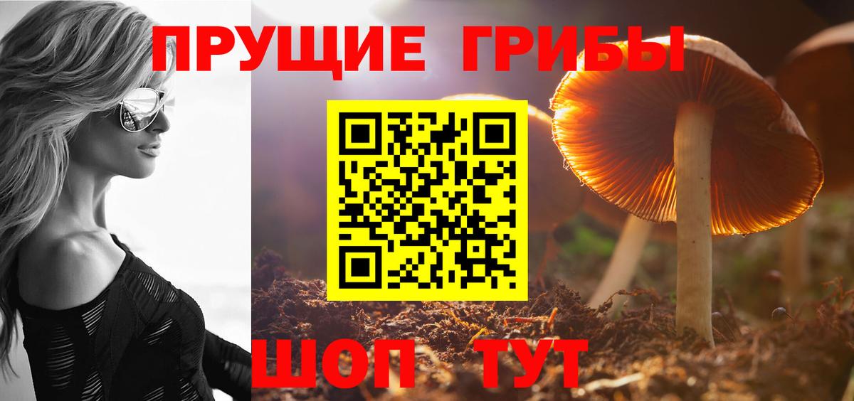 Псилоцибиновые грибы MAGIC MUSHROOMS Ивантеевка