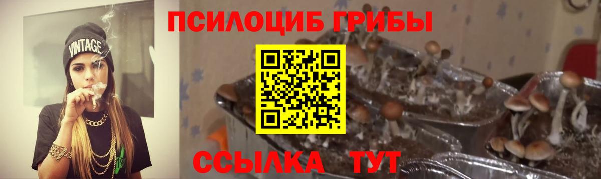 Псилоцибиновые грибы Psilocybe  Вход с VPN  продажа наркотиков  Ивантеевка  Галлюциногенные грибы Psilocybine cubensis 